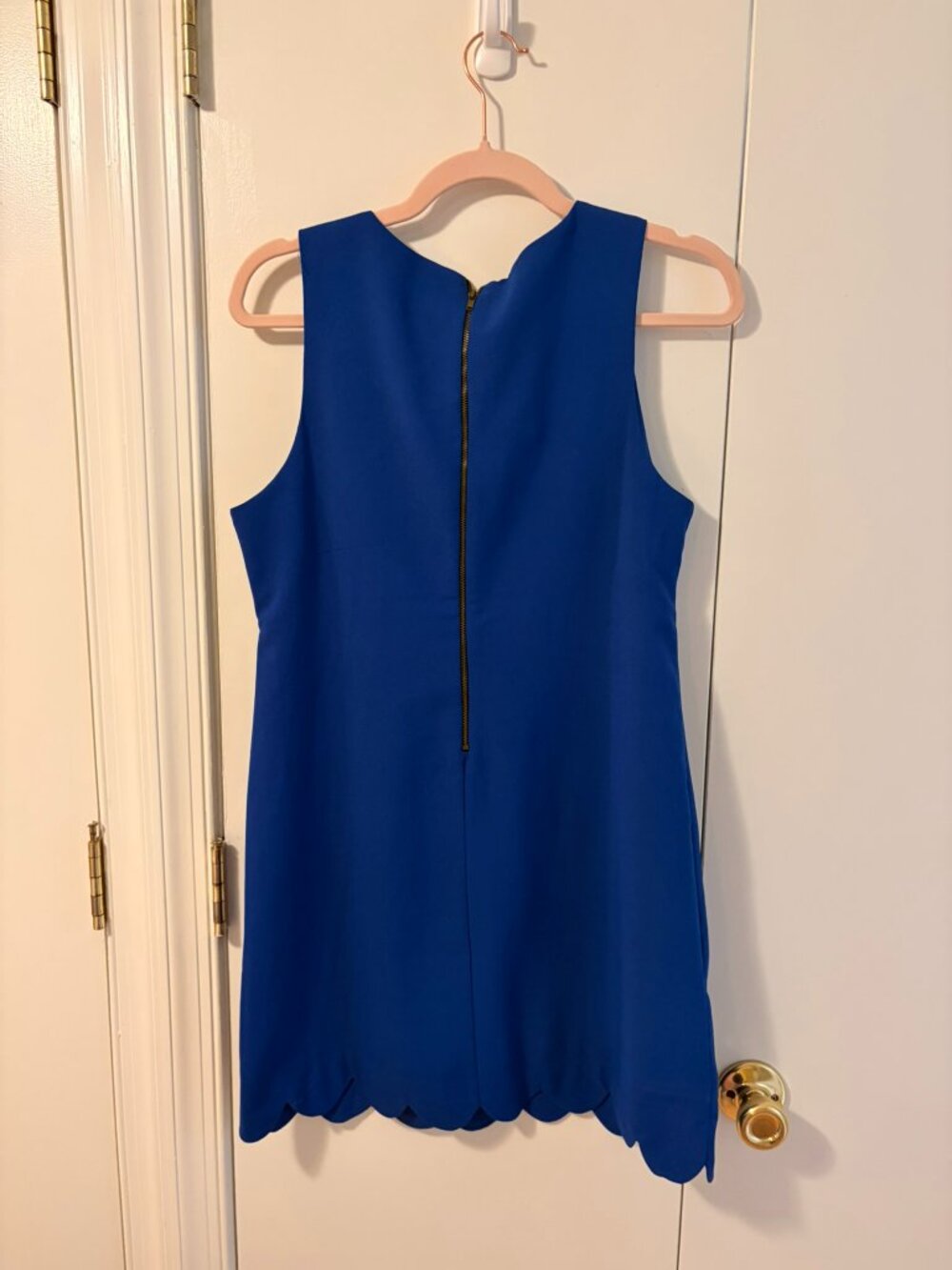 ✨ Monteau Los Angeles Cobalt Royal Blue Scalloped Shift Dress ✨ - Picture 3 of 7